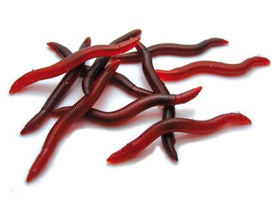 Künstliche Mistwürmer 15 Stück