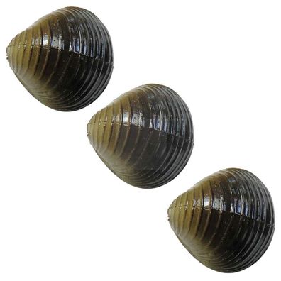 Angelköder für Karpfen künstliche Muscheln 1