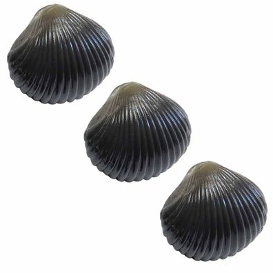 Angelköder für Karpfen künstliche Muscheln 3