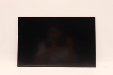 LCD LED Bildschirm Lenovo 14 Zoll WUXGA IPS