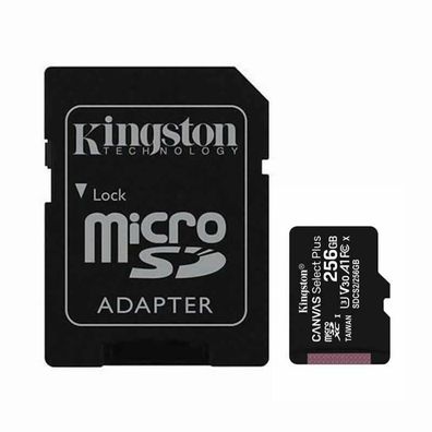 Speicherkarte Kingston Canvas Select Plus 256 GB