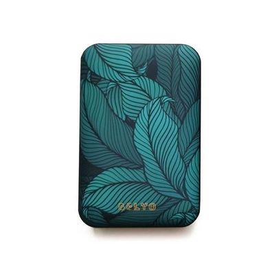 Powerbank Belyo 10000 mAh kompakt und leicht