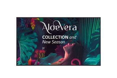 Fernseher LG 55UH5N-E 55 Zoll 4K Ultra HD