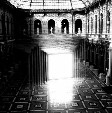 Vinyl full-time-hobby Transparent Medicinals