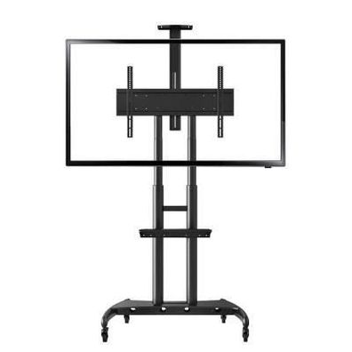 TV-Rollenständer nb höhenverstellbar bis 165 cm