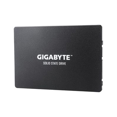 SSD Gigabyte 256 Go