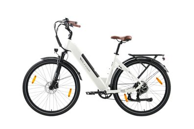 28-Zoll Tiefeinsteiger E-Bike 36V 20Ah 250W Elektrofahrrad für Damen und Herren