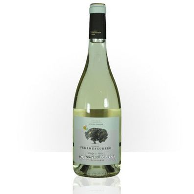 Bodegas Pedro Escudero S.L. 2022 Valdelagunde Verdejo Rueda DO 0.75 Liter