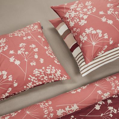 Schiesser Bettwäscheset Rexo - Renforcé - 2-teilig