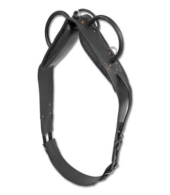 Longier- und Voltigiergurt STAR - aus Leder - Größe: Warmblut