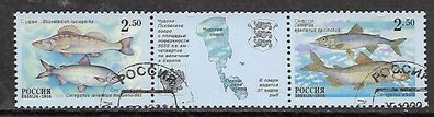Russland gestempelt Michel-Nummer 861-862 Dreierstreifen