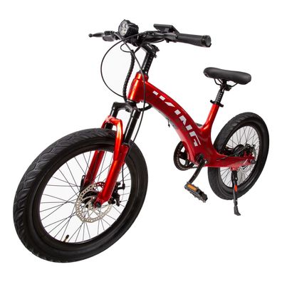 Mini E-Bike 250W 20 Zoll, 25 km/h, 40-65 km Reichweite, 80 kg Traglast