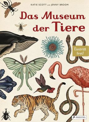 Das Museum der Tiere | Eintritt frei! | Jenny Broom | Buch | 108 S. | Deutsch