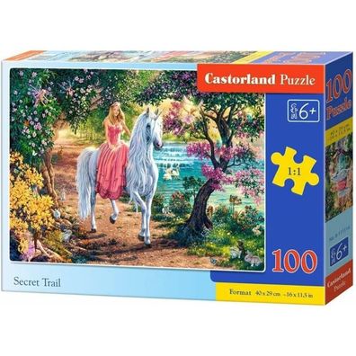 Castorland Puzzle Secret Journey 100 Teile