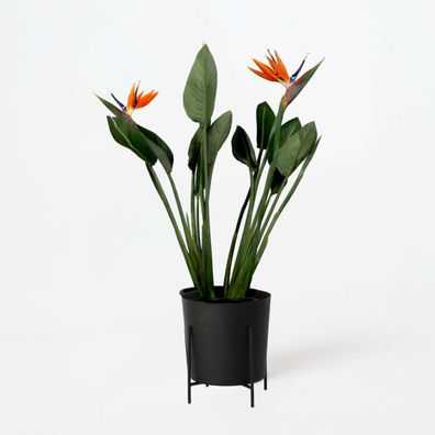 Strelitzia Reginea - Paradiesvogelblume - Mit Kunstblumen - Ø19cm - 70-100cm