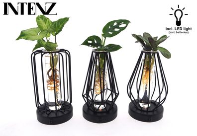 Mix in Turin Glas mit LED | 3 Stück - 20cm - Multideal