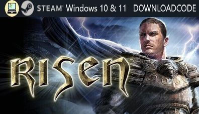 NEU PC Computer Spiel Risen für Windows 10 11 STEAM Download Code Game Key Email