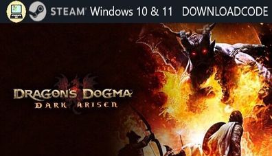 NEU PC Computer Spiel Dragons Dogma Dark Arisen für Windows 10 11 STEAM Download