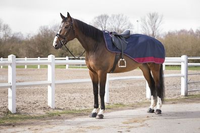 Equithème „TYREX 1200 D“, Nierendecke mit Polar Fleece Fütterung