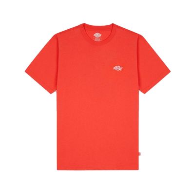 T-Shirt Dickies Summerdale Orange