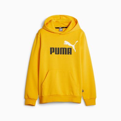 Hoodie Puma Essentials+ Two-Tone Big