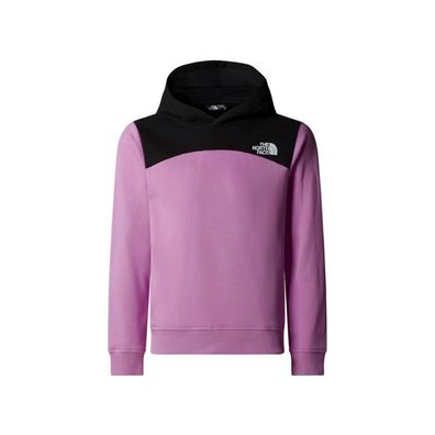 Hoodie The North Face Back Logo Relaxed P/O