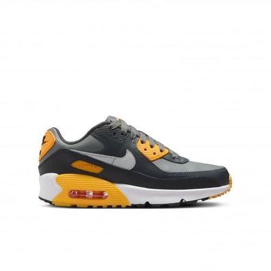 Sneakers Nike Air Max 90 Grau