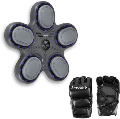 Boxschild HMS TB11 mit LED-Zonen und Bluetooth