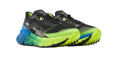 Sportschuhe Reebok FloatZig Adventure 1 Trail Running Herren