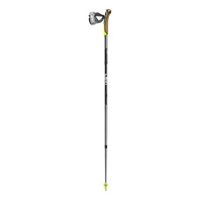 Nordic Walking Stöcke Leki Traveller FX One Carbon, 120 cm, Carbon