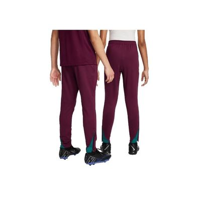 Hose Nike PSG Y NK DF STRK PANT KPZ Bordeaux/Geode Teal/Guava Ice