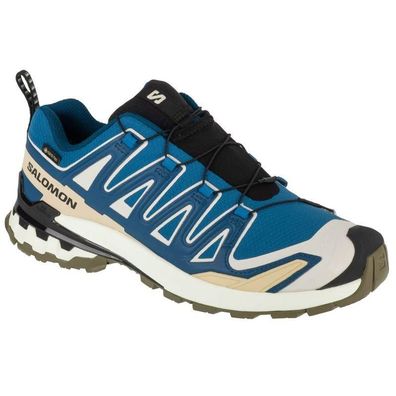 Sportschuhe Salomon XA Pro 3D V9 GTX Blau/Beige