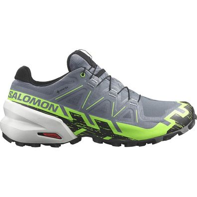 Sportschuhe Salomon Speedcross 6 GTX Grau