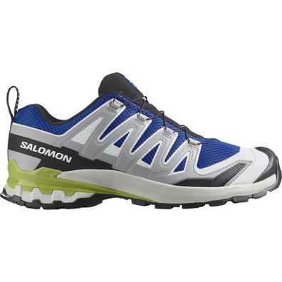 Wanderschuhe Salomon XA Pro 3D V9 Blau