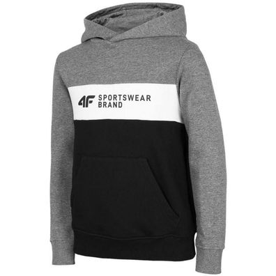 Sweatshirt 4F HJZ22 JBLM003 Grau Kinder