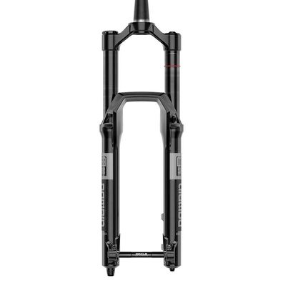 Fahrradfederung Rockshox Domain Gold Isolator RC3
