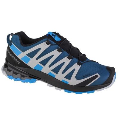 Sportschuhe Salomon XA PRO 3D V8 GTX Wasserdicht