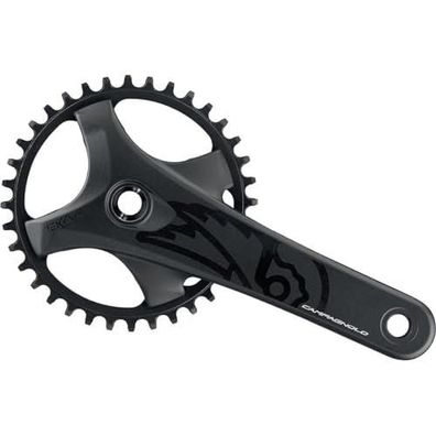 Kurbelgarnitur Campagnolo Ekar GT Pro-Tech 13v 38Z