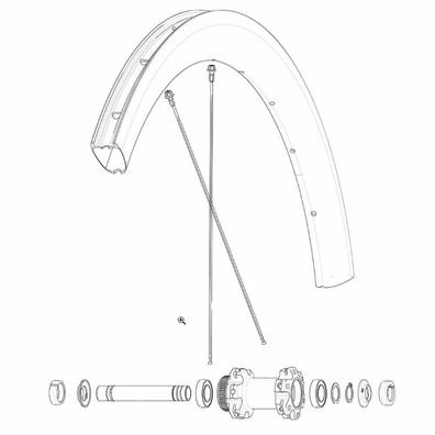 Speichensatz Mavic Cosmic Pro Carbon UST Disc 12 Stéck