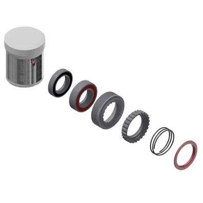 Nabenkit DT Swiss Ratchet 54t 180 EXP fér schnellen Eingriff