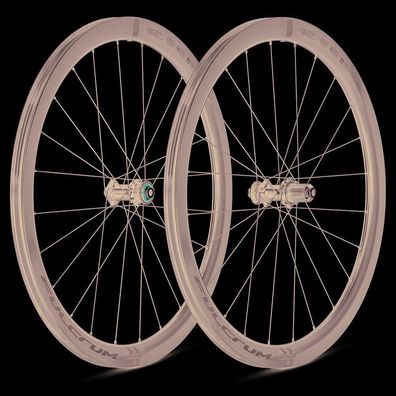 Laufrad Fulcrum Wind 42 2Way-Fit Carbon, Scheibenbremse