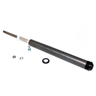 Gabel Rockshox Spring Internals Left Solo Air XC30 100 mm Federweg