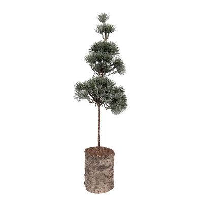 Clayre & Eef Mini-Kunstweihnachtsbaum 14x14x45 cm Grün Holz (Gr. 14x14x45 cm)