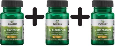 3 x Swanson L. Plantarum Inner Bowel Support - 30 vcaps