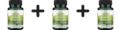 3 x Swanson Shilajit Extract, 400mg - 60 vcaps
