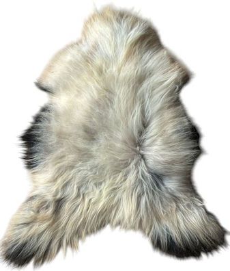 Island Lammfell - Ganzes Schaffell, Langhaarig Cremeweiß mit Schwarzen Spitzen | Skan