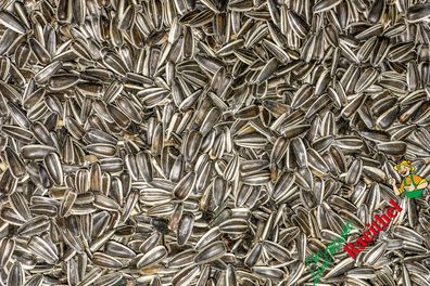 11,90€/kg) Sonnenblumenkerne gestreift 500 g Wintervogel Wildvogel 3-fach gereinigt
