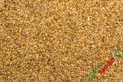 1,00€/kg) Weizen 15 kg Futterweizen Geflügelfutter Nager Karpfenfutter