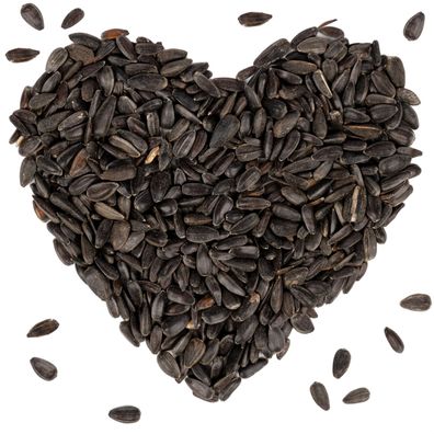 10 - 25 kg Lyra Pet® Sonnenblumenkerne schwarz HK Bulgarien