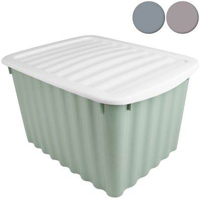 Box Wellington mit Deckel 5,5L Grün 30x20x16 cm